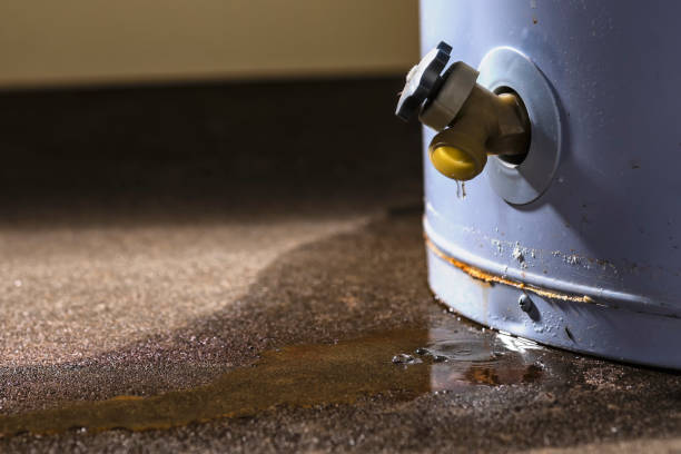 Best Water damage cleanup near me  in Bayou Lourse, LA