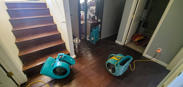 Best Residential water damage restoration  in Bayou Lourse, LA