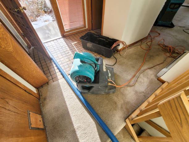 Best Water damage contractors near me  in Bayou Lourse, LA