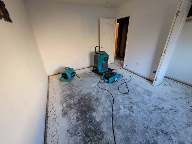 Best Basement water damage restoration  in Bayou Lourse, LA