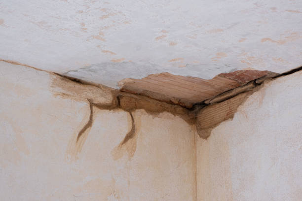 Best 24/7 water damage repair  in Bayou Lourse, LA