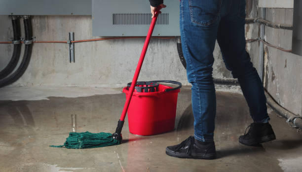 Best Flood restoration services  in Bayou Lourse, LA