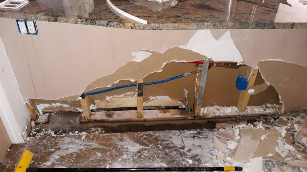 Best Emergency water damage restoration  in Bayou Lourse, LA