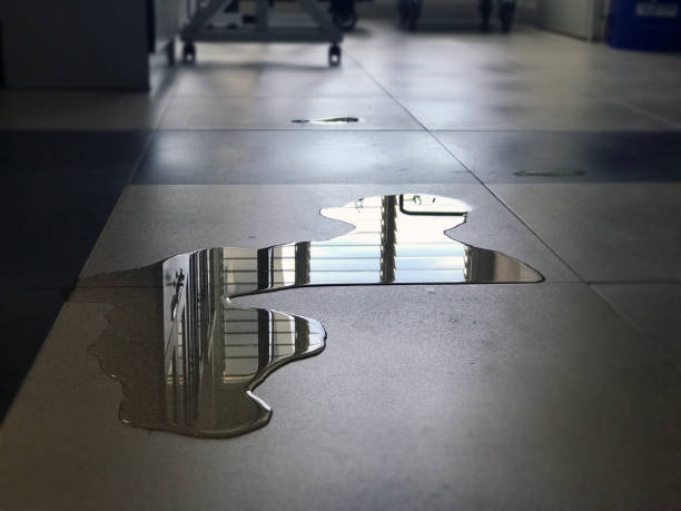 Best 24/7 water damage repair  in Bayou Lourse, LA