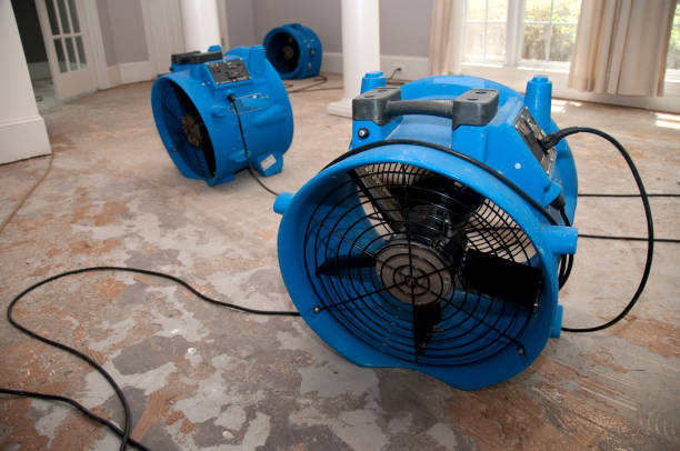 Best Fire Damage Restoration  in Bayou Lourse, LA