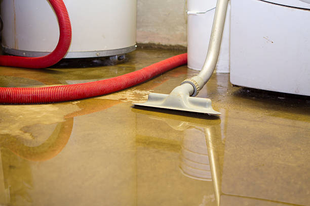 Best Water damage restoration near me  in Bayou Lourse, LA