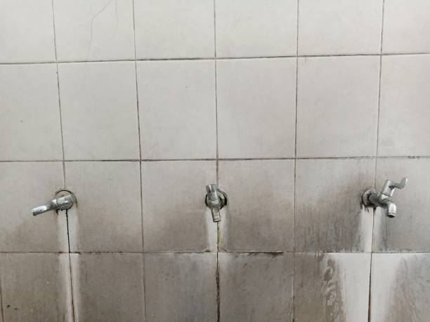 Best Carpet water damage restoration  in Bayou Lourse, LA