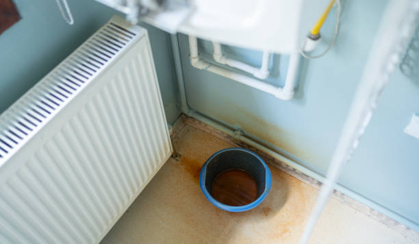 Best Water damage restoration near me  in Bayou Lourse, LA