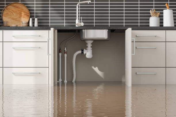 Best Professional water damage repair  in Bayou Lourse, LA